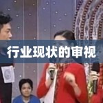 行业现状的审视