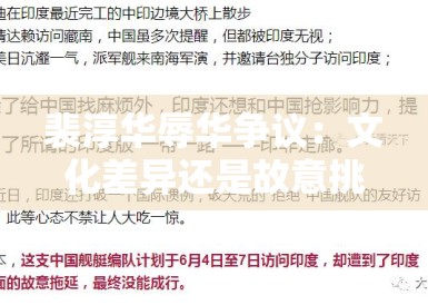 裴淳华辱华争议:文化差异还是故意挑衅中国市场? 裴淳华辱华争议:文化差异还是故意挑衅中国市场?