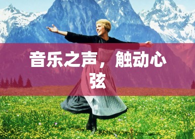 音乐之声，触动心弦
