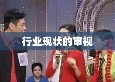 行业现状的审视 行业现状的审视
