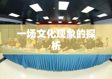 一场文化现象的探析 一场文化现象的探析