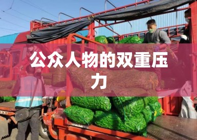 公众人物的双重压力 公众人物的双重压力