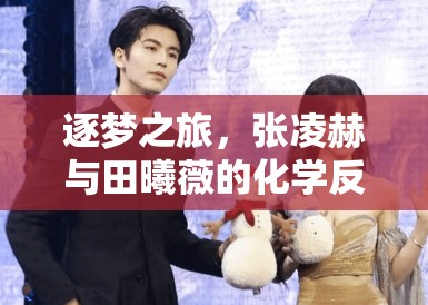 逐梦之旅，张凌赫与田曦薇的化学反应