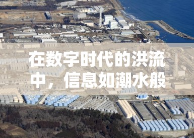 在数字时代的洪流中，信息如潮水般涌来，真假难辨。而在这个背景下，真相捕捉第三季的开播，无疑为观众带来了一场视觉与智力的盛宴，让悬疑剧的浪潮再次高涨，引领我们进入一个更深的探索真相的迷宫