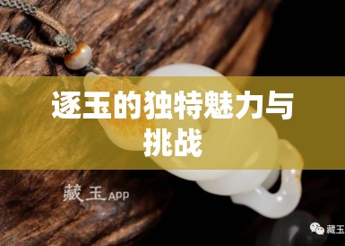逐玉的独特魅力与挑战 逐玉的独特魅力与挑战